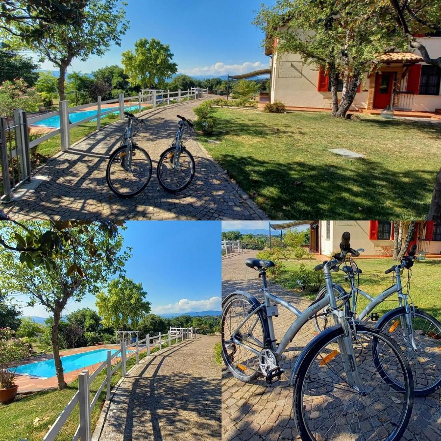 Villa Bagnole B&B - Holiday Apartments Lonato Eksteriør billede
